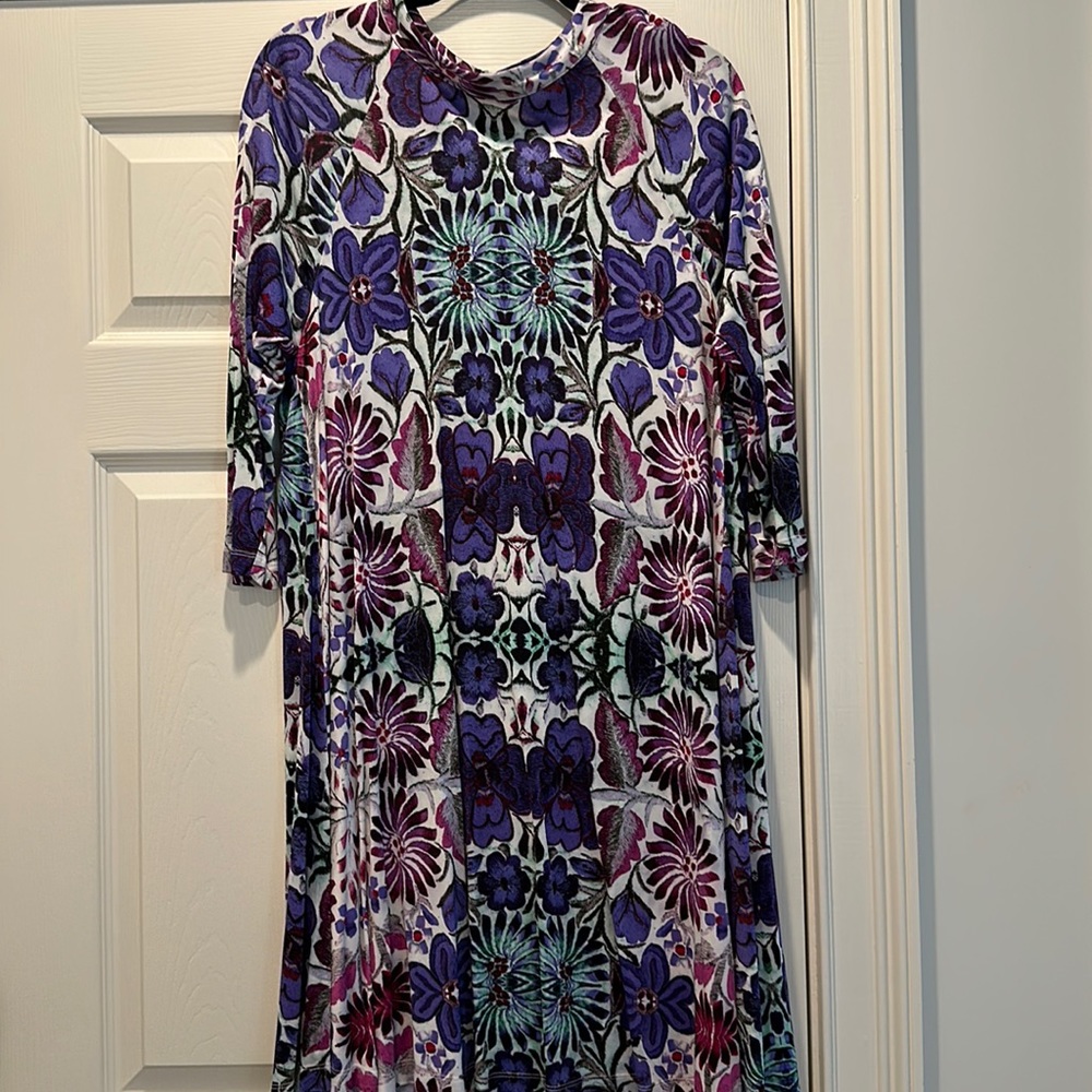 Free People long sleeve dress